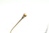 TT2 THE WAY col.Antic Gold